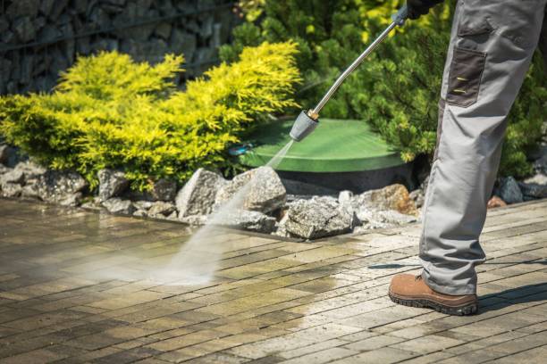 Best Roof Washing  in Carlisle, KY