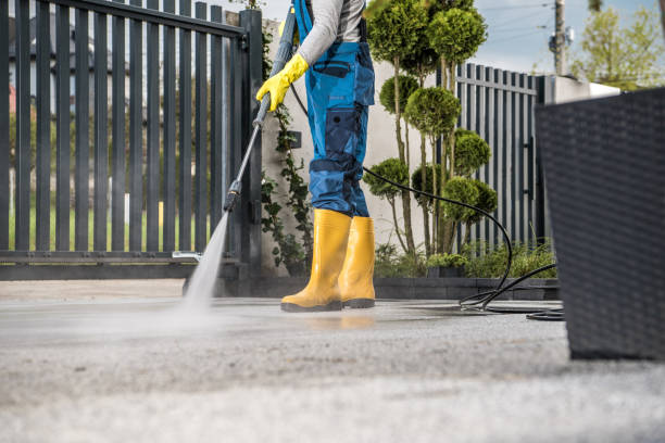 Professional Pressure Washing Services in Carlisle, KY